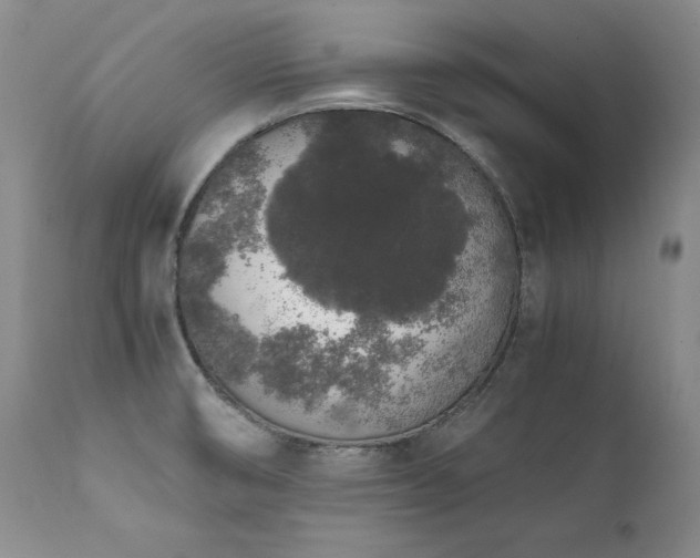 X0000111451474200907131318
