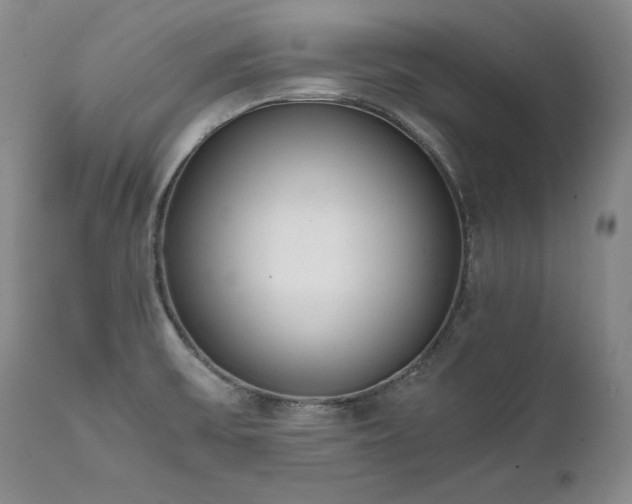 X0000111451475200907131317