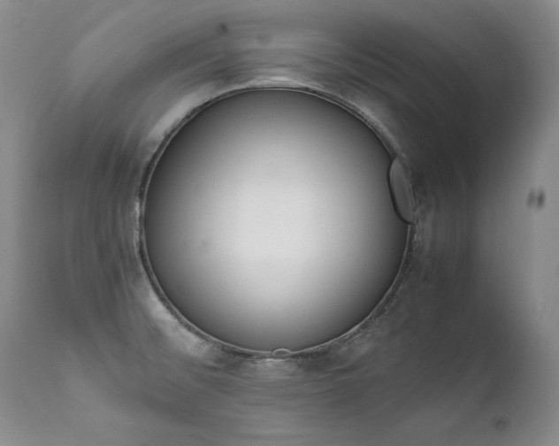 X0000111451476200907131317