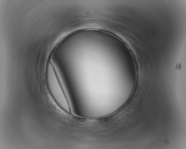 X0000111451477200907131317