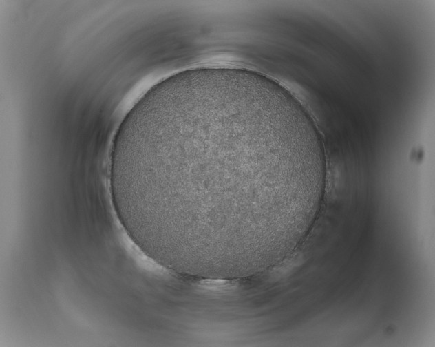 X0000111451478200907131317