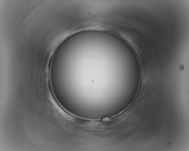 X0000111451479200907131317