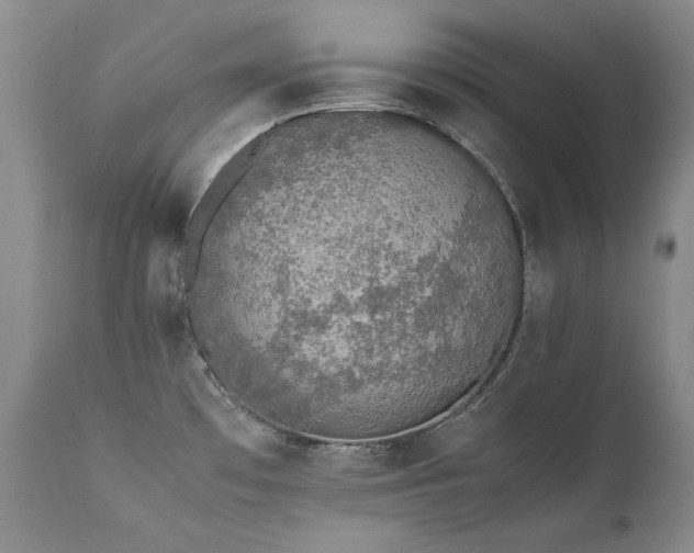 X0000111451481200907131317