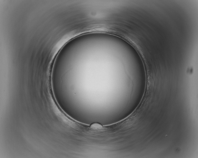 X0000111451483200907131317