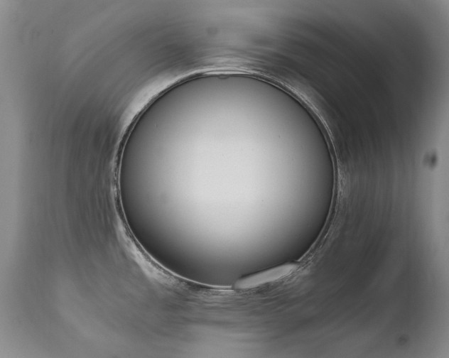 X0000111451485200907131317