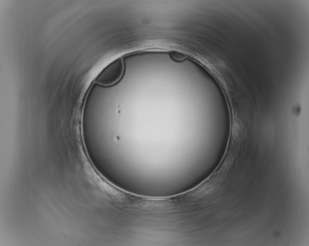 X0000111451486200907131317