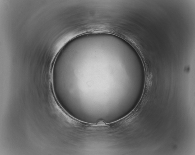 X0000111451487200907131317