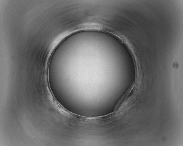 X0000111451488200907131317