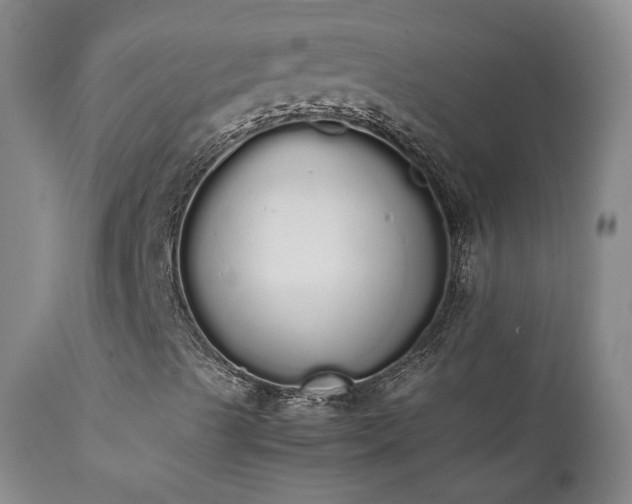 X0000111451489200907131317
