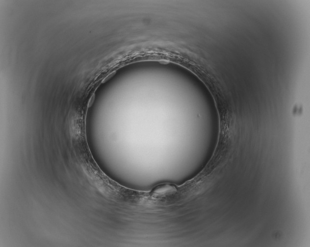 X0000111451490200907131317