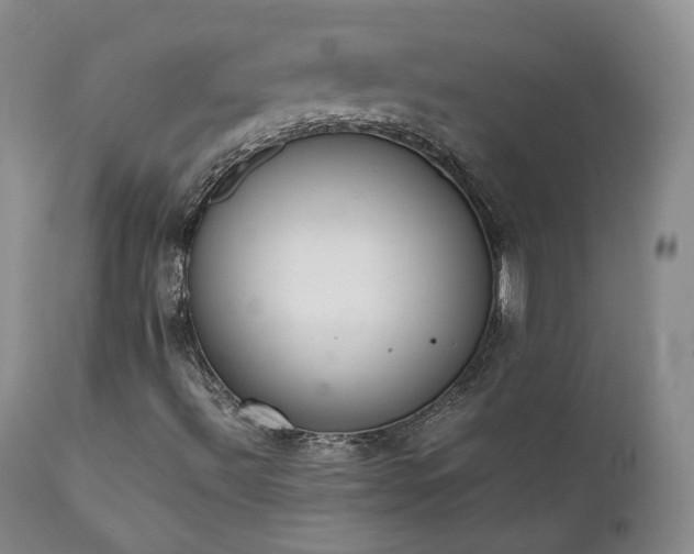 X0000111451492200907131317