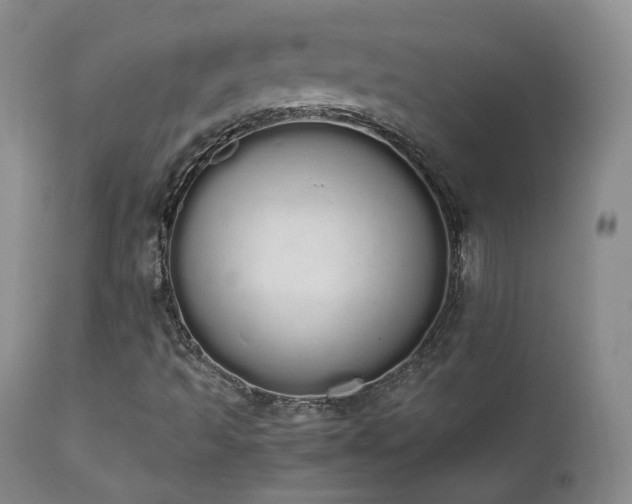 X0000111451493200907131317