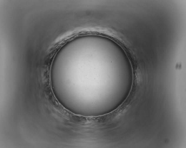 X0000111451494200907131317