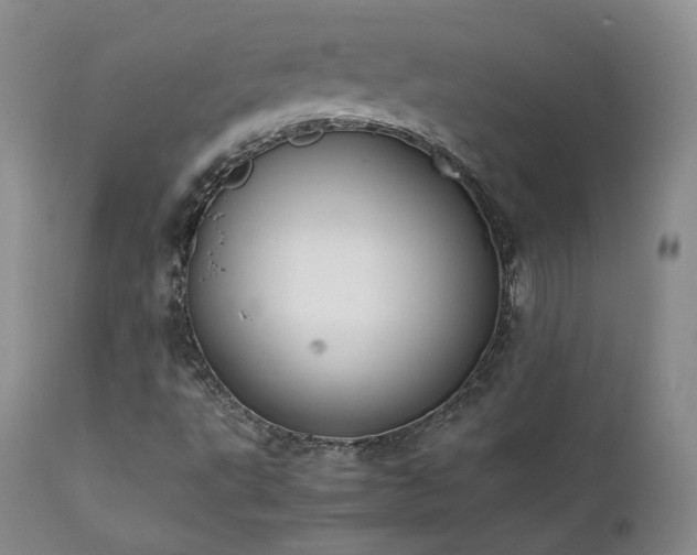 X0000111451495200907131317
