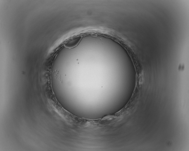 X0000111451496200907131317