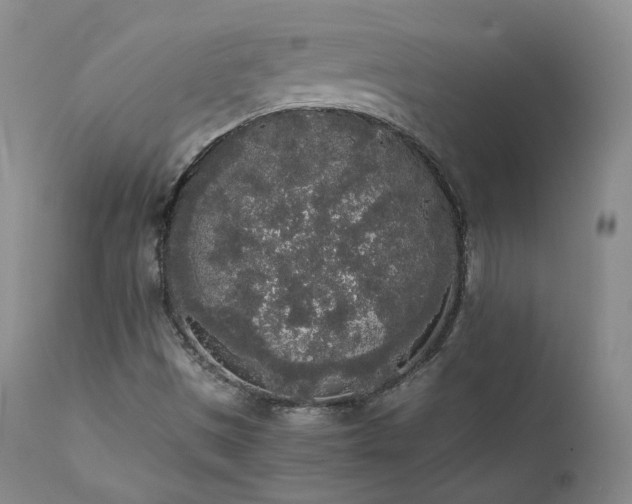 X0000111451497200907131317