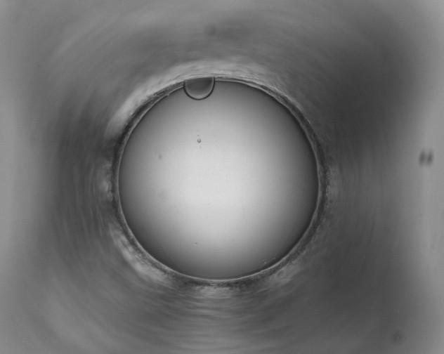 X0000111451499200907131317