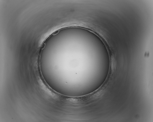 X0000111451500200907131317