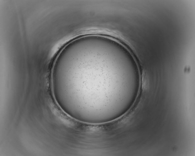 X0000111451501200907131317