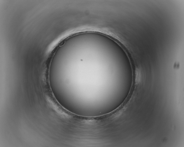 X0000111451502200907131317