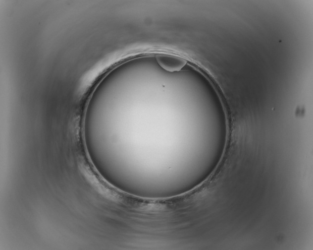 X0000111451503200907131317
