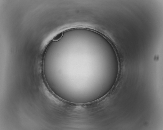 X0000111451504200907131317