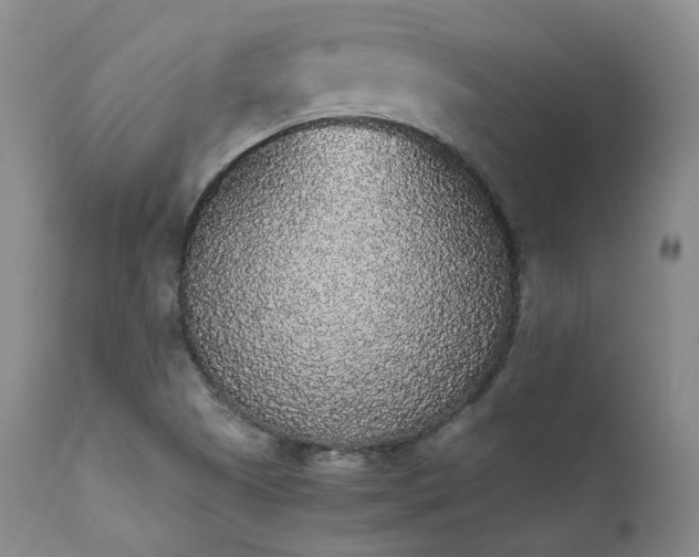 X0000111451505200907131317