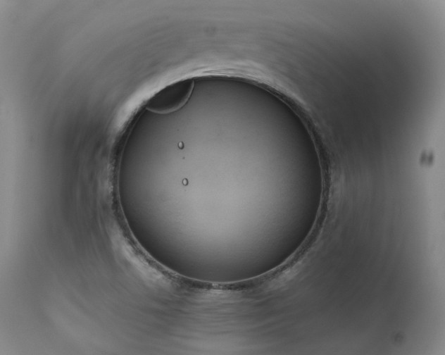 X0000111451506200907131317