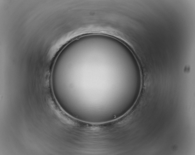 X0000111451507200907131317