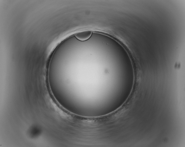 X0000111451508200907131317