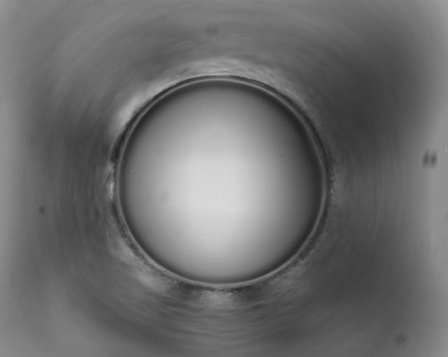 X0000111451509200907131317