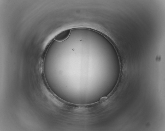 X0000111451510200907131317