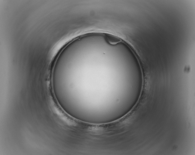 X0000111451511200907131317