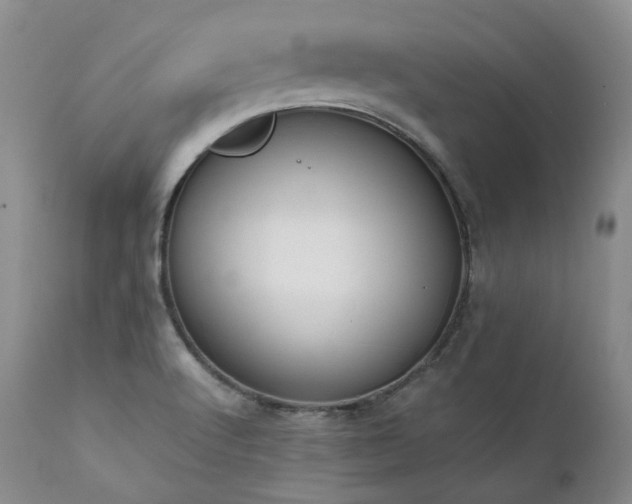 X0000111451512200907131317