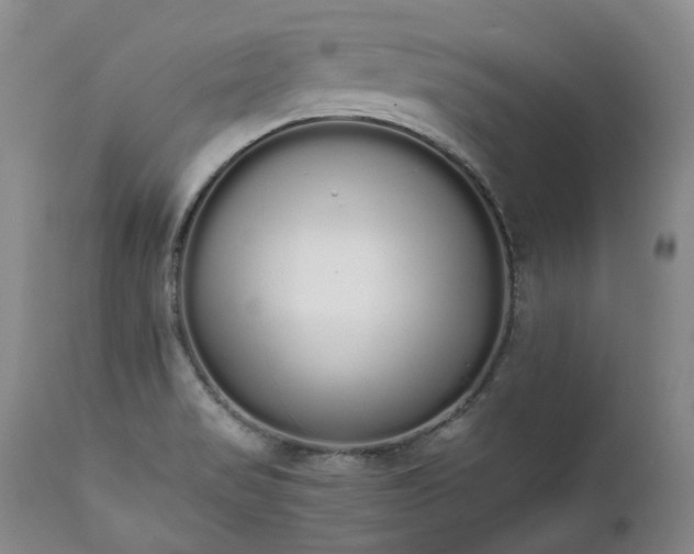 X0000111451517200907131317