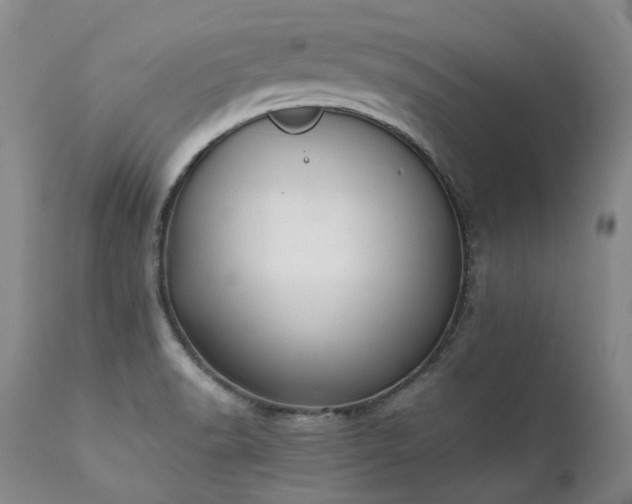 X0000111451518200907131317