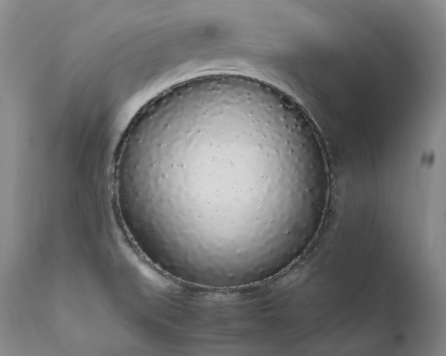 X0000111451519200907131317