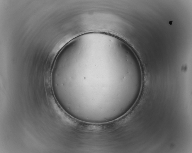 X0000111451521200907131317