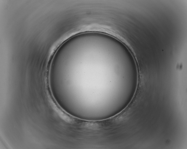X0000111451525200907131317