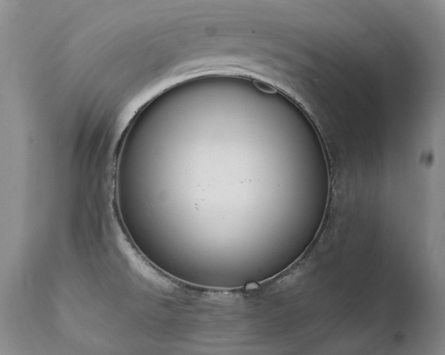 X0000111451526200907131317