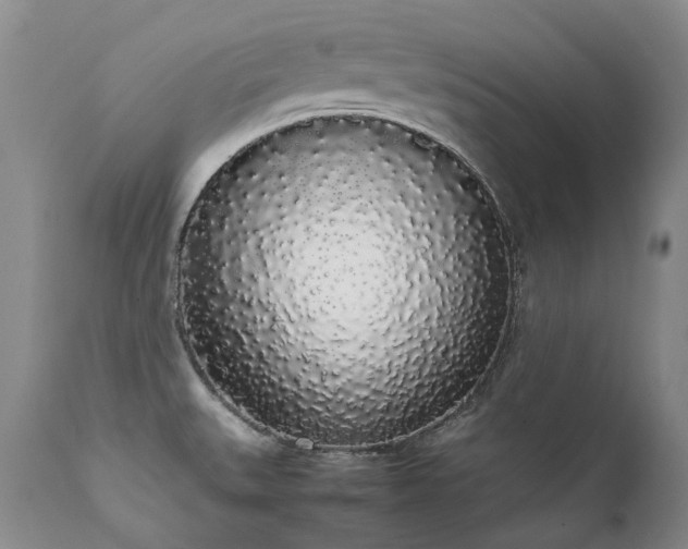 X0000111451527200907131317