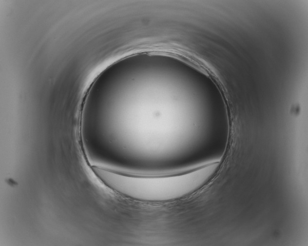 X0000111451528200907131317