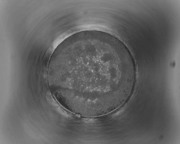X0000111451529200907131317