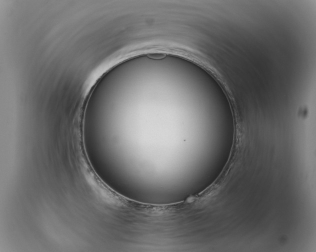 X0000111451530200907131317