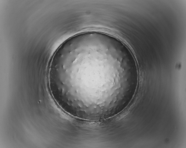 X0000111451533200907131317