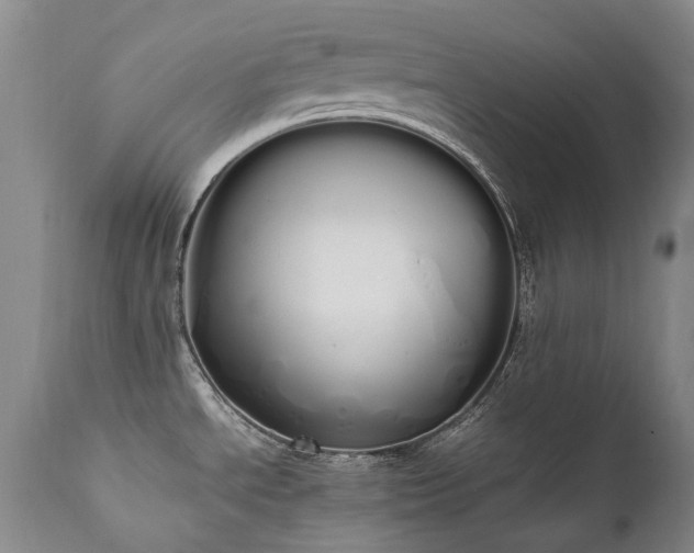 X0000111451534200907131317