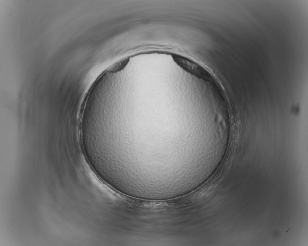 X0000111451535200907131317