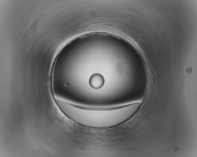 X0000111451536200907131317