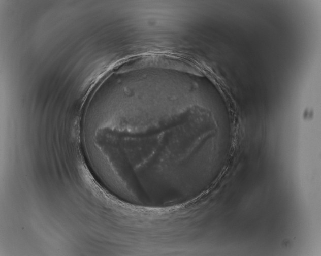 X0000111450002200907201101