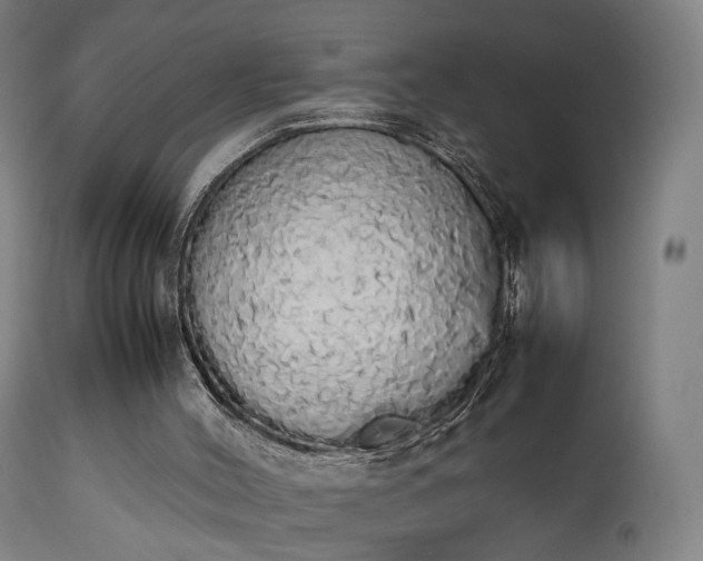 X0000111450004200907201101